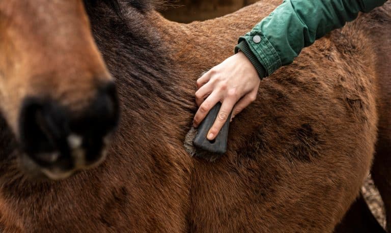 Brosse douce à poils doux cheval - Grooming Deluxe - GROOMING DELUXE