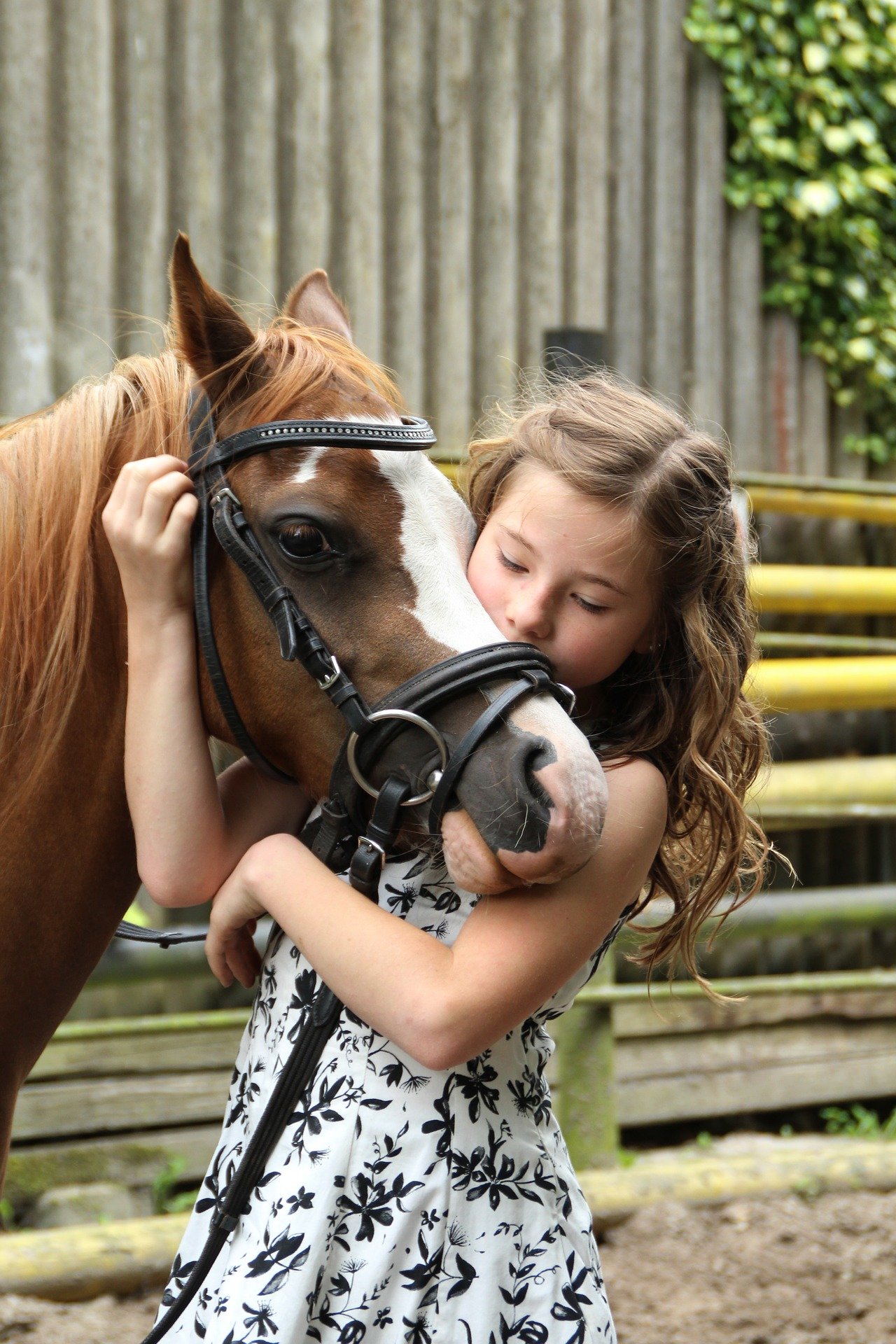 Stages d'équitation Enfants-Ados Colonies de Vacances à cheval