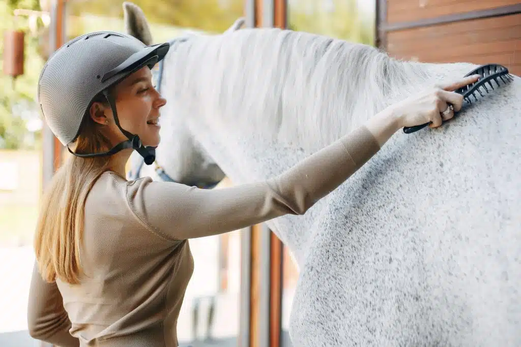 Une cavalière portant un casque d'équitation brosse un cheval à la robe couleur gris truité
