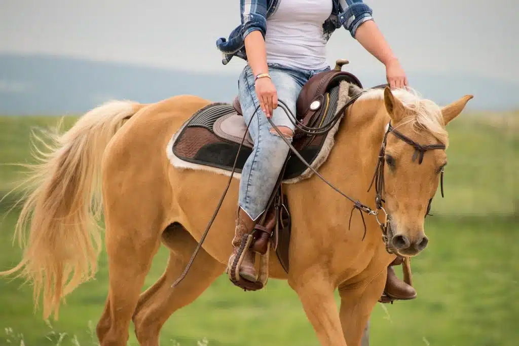Un cheval palomino monté par sa cavalière