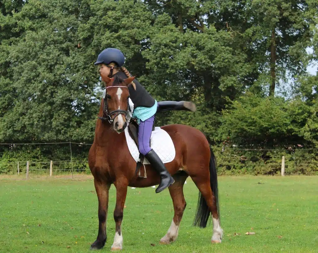 Jeune fille qui monte sur le dos de son poney