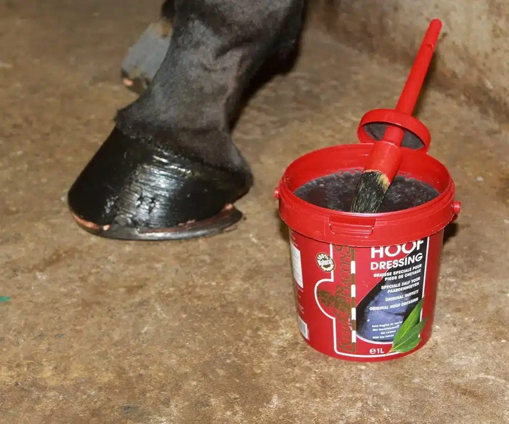Graisse pour sabots Kevin Bacons, appliquée sur le sabot d'un cheval, ce qui lui donne beaucoup d'hydratation et un bel effet brillant
