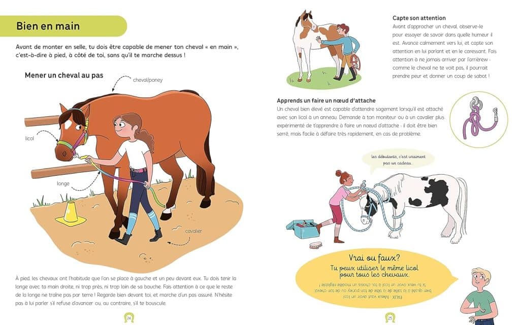 Je commence l'équitation : un guide pour les jeunes passionnés de Emilie Gillet et Anne-Olivia Messana