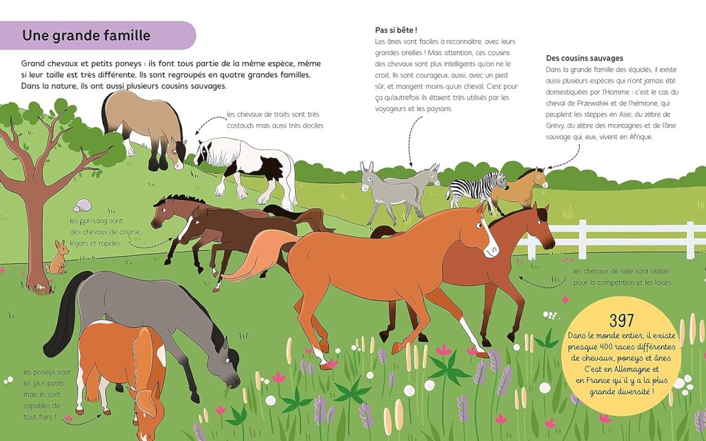 Je commence l'équitation : un guide pour les jeunes passionnés de Emilie Gillet et Anne-Olivia Messana