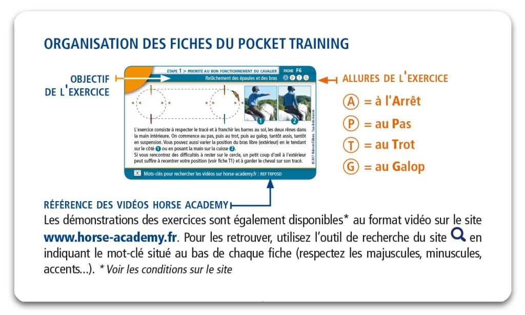 Programme d'entraînement par Michel Robert
