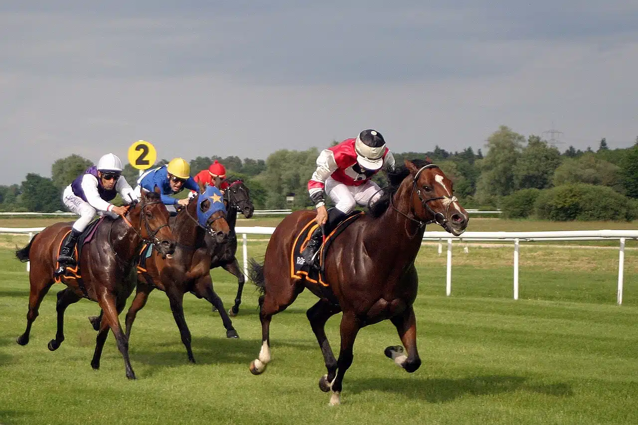 Course de chevaux